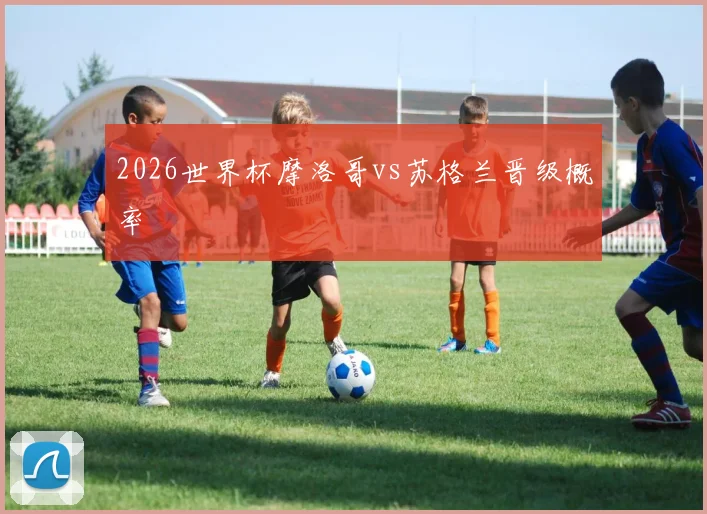 2026世界杯摩洛哥vs苏格兰晋级概率